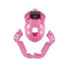 Incarcerator Adjustable Locking Chastity Cage